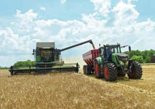 Cosechadoras Fendt 5255 L MCS Rice