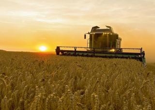 Cosechadoras Fendt 5275 C