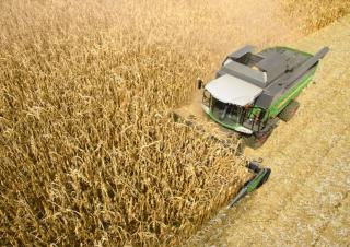 Cosechadoras Fendt 6335 C Rice