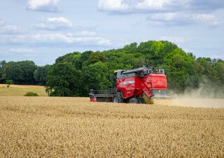 Cosechadoras Massey Ferguson Activa 7342-MCS