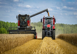 Cosechadoras Massey Ferguson Activa 7343