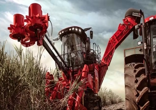 Cosechadoras Case IH Austoft 9900