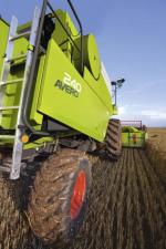 Cosechadoras Claas Avero 240