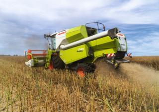 Cosechadoras Claas Avero 240