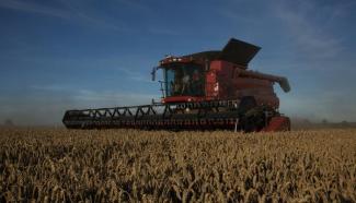 Cosechadoras Case IH Axial Flow 8120