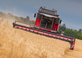 Cosechadoras Massey Ferguson Beta 7360 PL