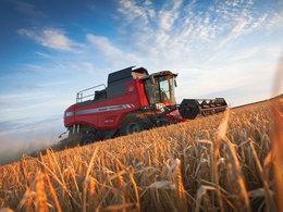 Cosechadoras Massey Ferguson Beta 7370
