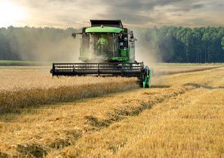 Cosechadoras DEUTZ-FAHR C 6205 TS Farmline