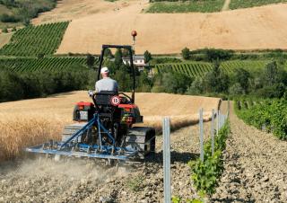 Cosechadoras DEUTZ-FAHR C 7206 TS Topline Extra Power