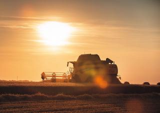 Cosechadoras New Holland CX8.90   