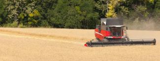 Cosechadoras Massey Ferguson Delta 9380