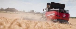 Cosechadoras Massey Ferguson Delta 9380