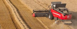 Cosechadoras Massey Ferguson Delta 9380