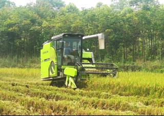Cosechadoras Zoomlion FH100C
