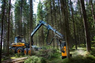 Máquinas forstales Cosechadoras forestales Ponsse Fox