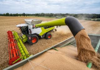 Cosechadoras Claas Lexion 6900 