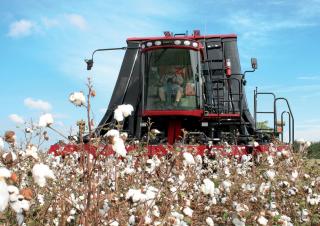 Cosechadoras Case IH Module Express 635
