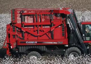 Cosechadoras Case IH Module Express 635