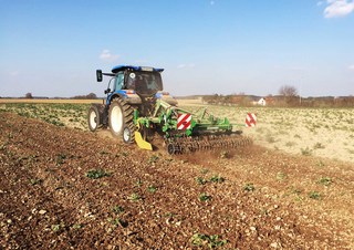 Cultivadores Kerner Corona C 250 Üh