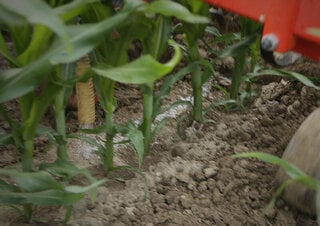 Cultivadores Maschio HP-4