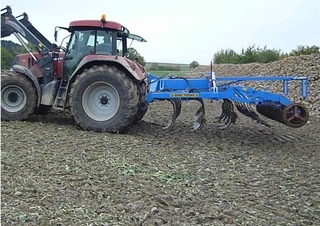 Cultivadores Tigges Perlit 4503