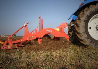 Cultivadores Maschio Pinocchio 250/5