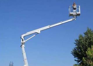 Plataformas elevadoras articuladas Plataformas articuladas de orugas Palazzani TZX 225 C 