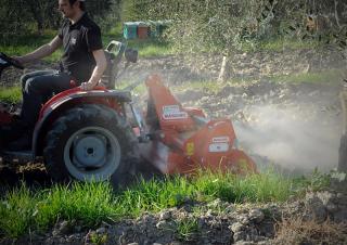 Gradas rotantes Maschio W 165