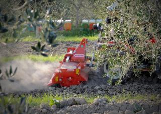 Gradas rotantes Maschio W 165