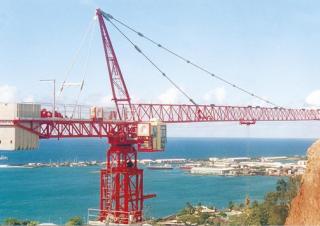 Grúas torre con rotación superior Raimondi MR183