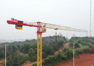 Grúas torre con rotación superior Sany SFT255