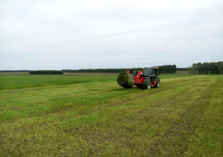 Manipuladoras telescópicas Manitou MLT-X 735 T LSU