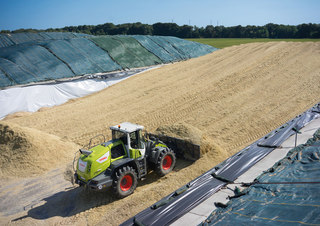 Mini cargador frontal Claas Torion 1812