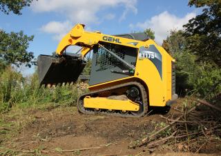 Minicargadoras Gehl RT 175 SXT Dual