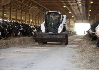 Minicargadoras Bobcat S590