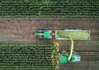 Picadoras - tracción 4 ruedas John Deere 9600