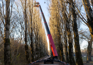 Plataformas elevadoras articuladas Plataformas articuladas de orugas Hinowa TeleCrawler 22S
