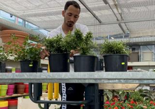 Plataformas telescópicas Plataformas verticales Faraone Elevah 40 B Picking