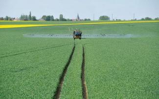 Pulverizadoras automotrices Challenger RoGator 635