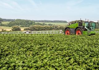 Pulverizadoras automotrices Fendt Rogator 655