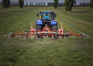Rastrillos henificadores Maschio Elia Pro 650
