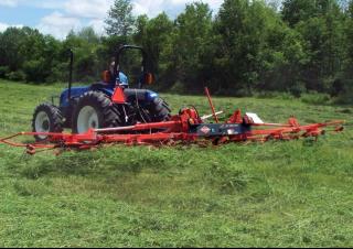 Rastrillos henificadores Kuhn GF 7802 THA