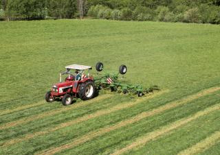 Rastrillos henificadores Krone KWT 1300