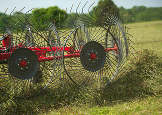 Rastrillos rotativos Massey Ferguson 3983 High-Capacity