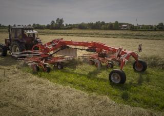 Rastrillos rotativos Maschio Golia Pro 2 H 730
