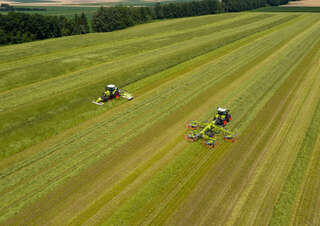 Rastrillos rotativos Claas Liner 4800 Business