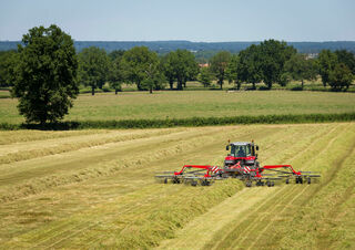 Rastrillos rotativos Massey Ferguson RK1254 TRC
