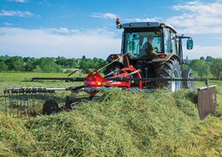 Rastrillos rotativos Massey Ferguson RK451 TR
