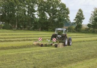 Rastrillos rotativos Krone Swadro 46 T 