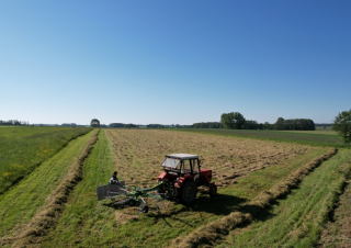 Rastrillos rotativos Pronar ZKP 350